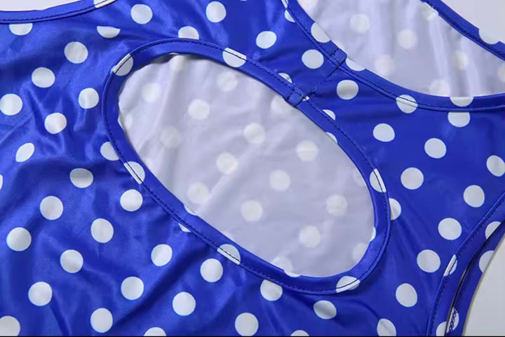 BLUEBERRY SET