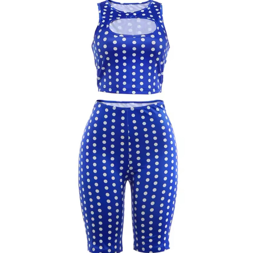 BLUEBERRY SET